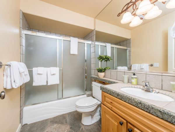 Yosemite Area Home 984887