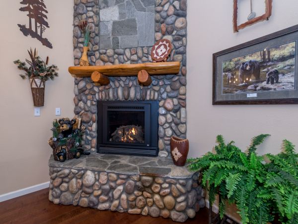 Yosemite Area Home 984887
