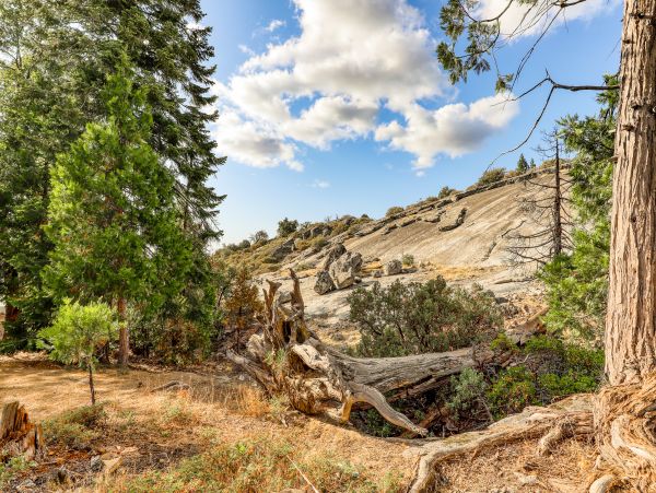 Yosemite Area Home 984890