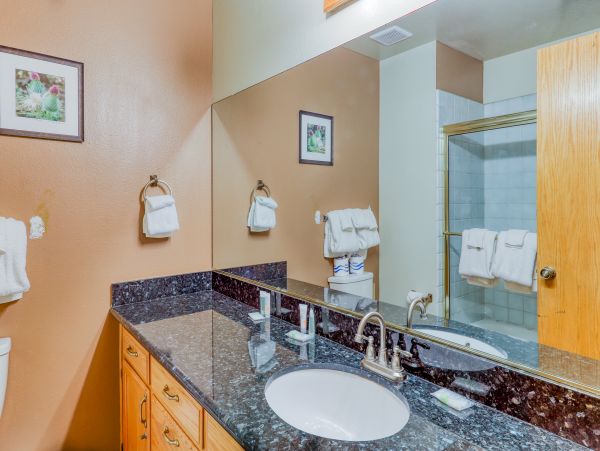 Yosemite Area Home 984890