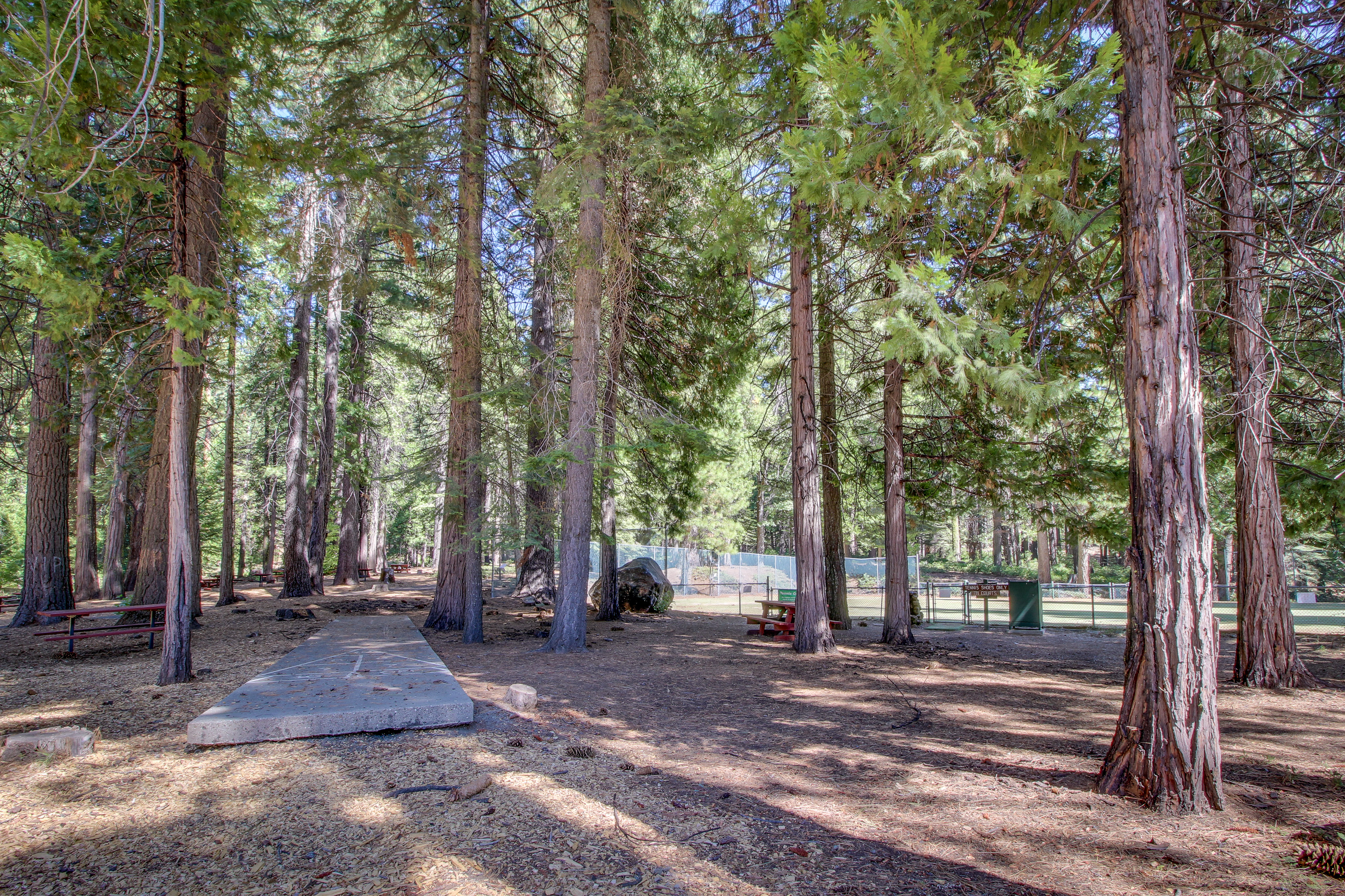 Yosemite Area Home 984892
