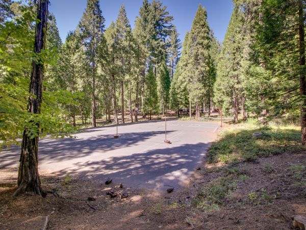 Yosemite Area Home 984892
