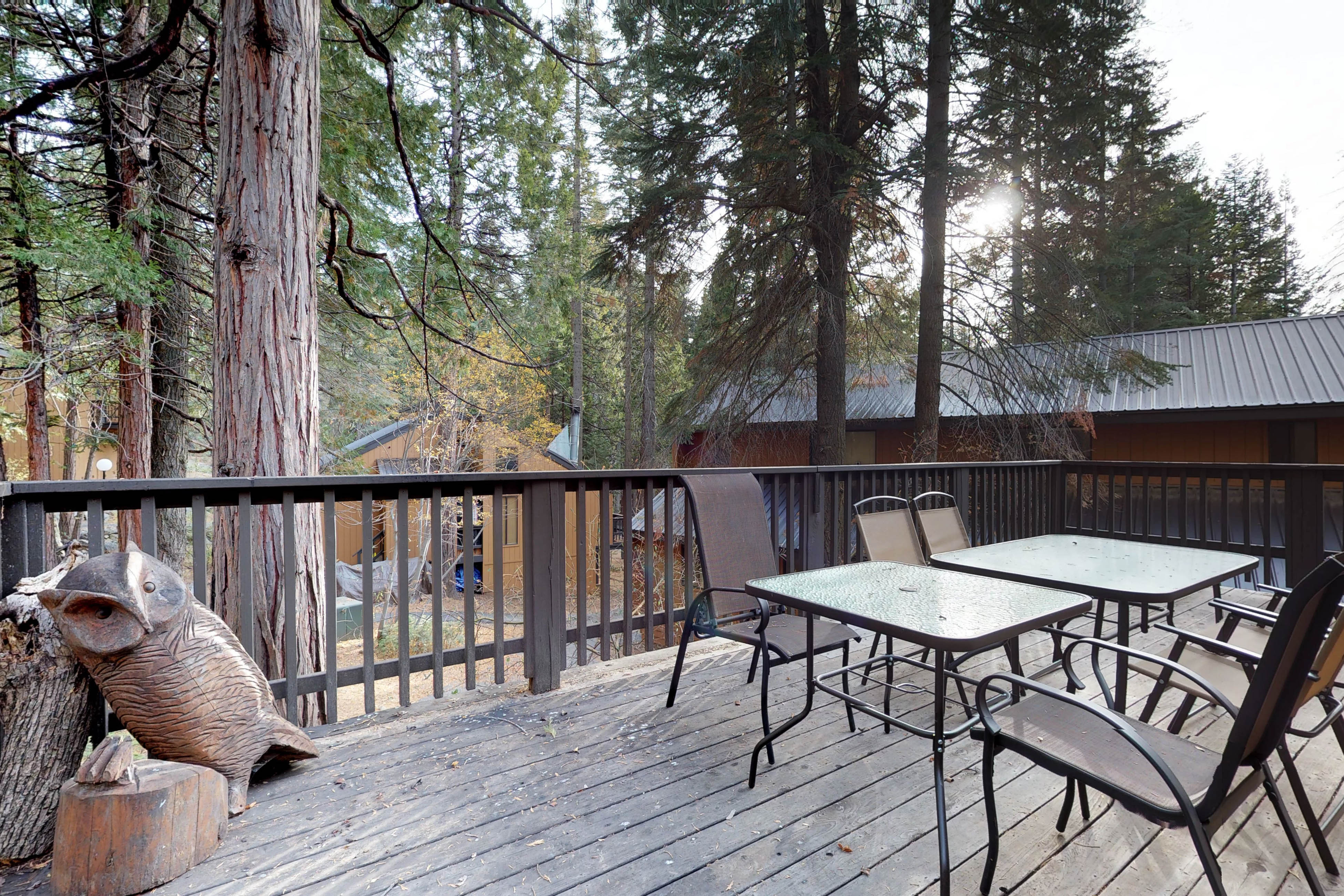Yosemite Area Home 984893