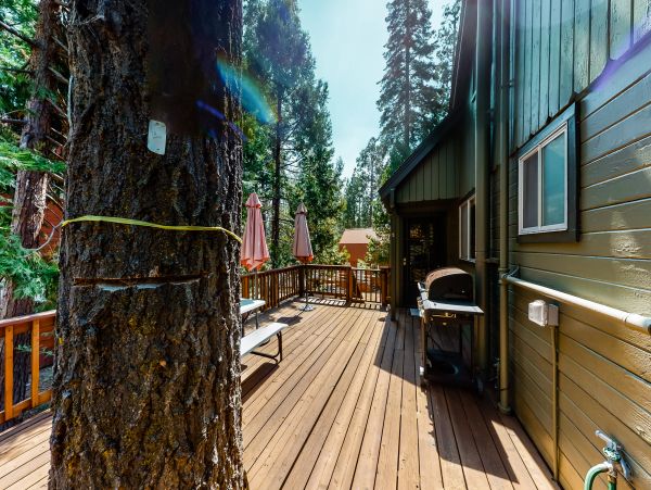 Yosemite Area Home 984894
