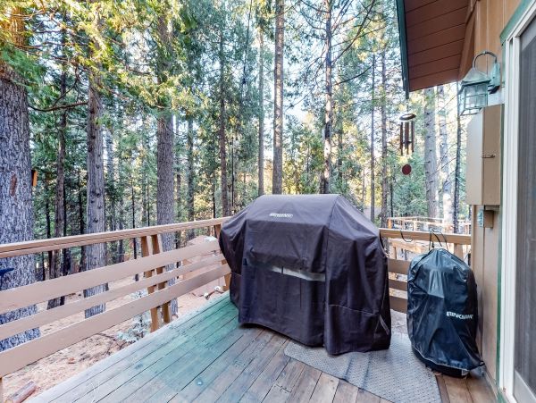 Yosemite Area Home 984896