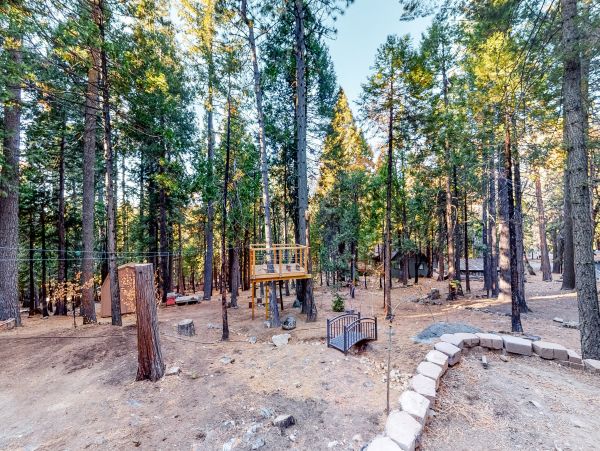 Yosemite Area Home 984896