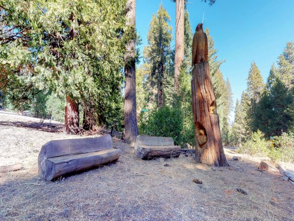 Yosemite Area Home 984897