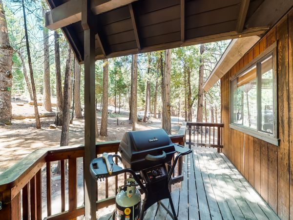Yosemite Area Home 984898