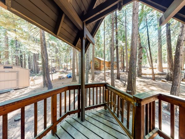 Yosemite Area Home 984898