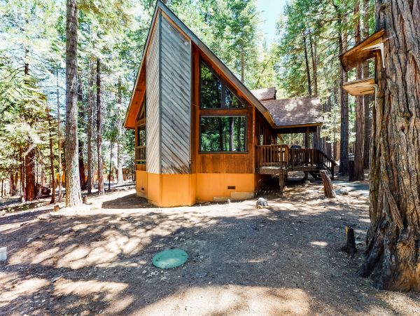 Yosemite Area Home 984898