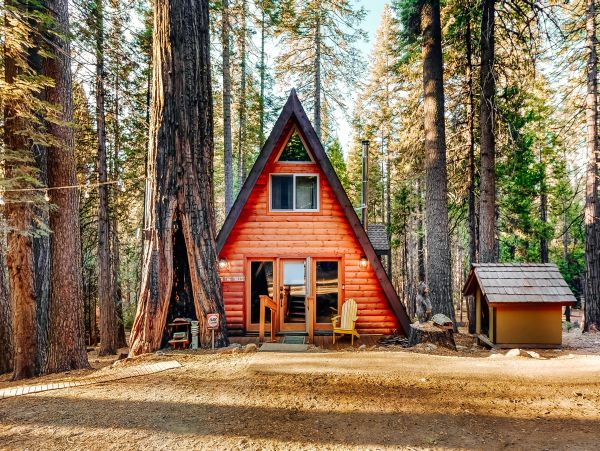 Yosemite Area Home 984900