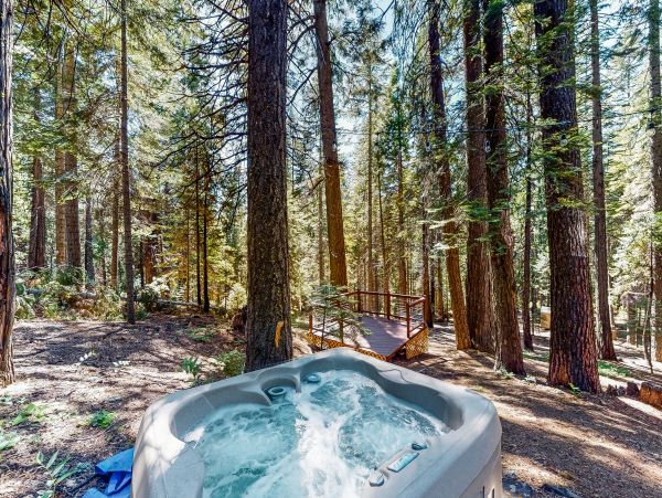 Yosemite Area Home 984900
