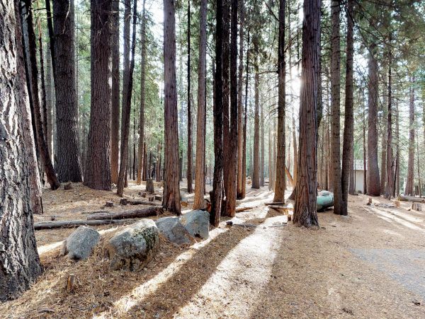Yosemite Area Home 984902