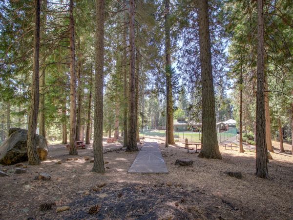 Yosemite Area Home 984902