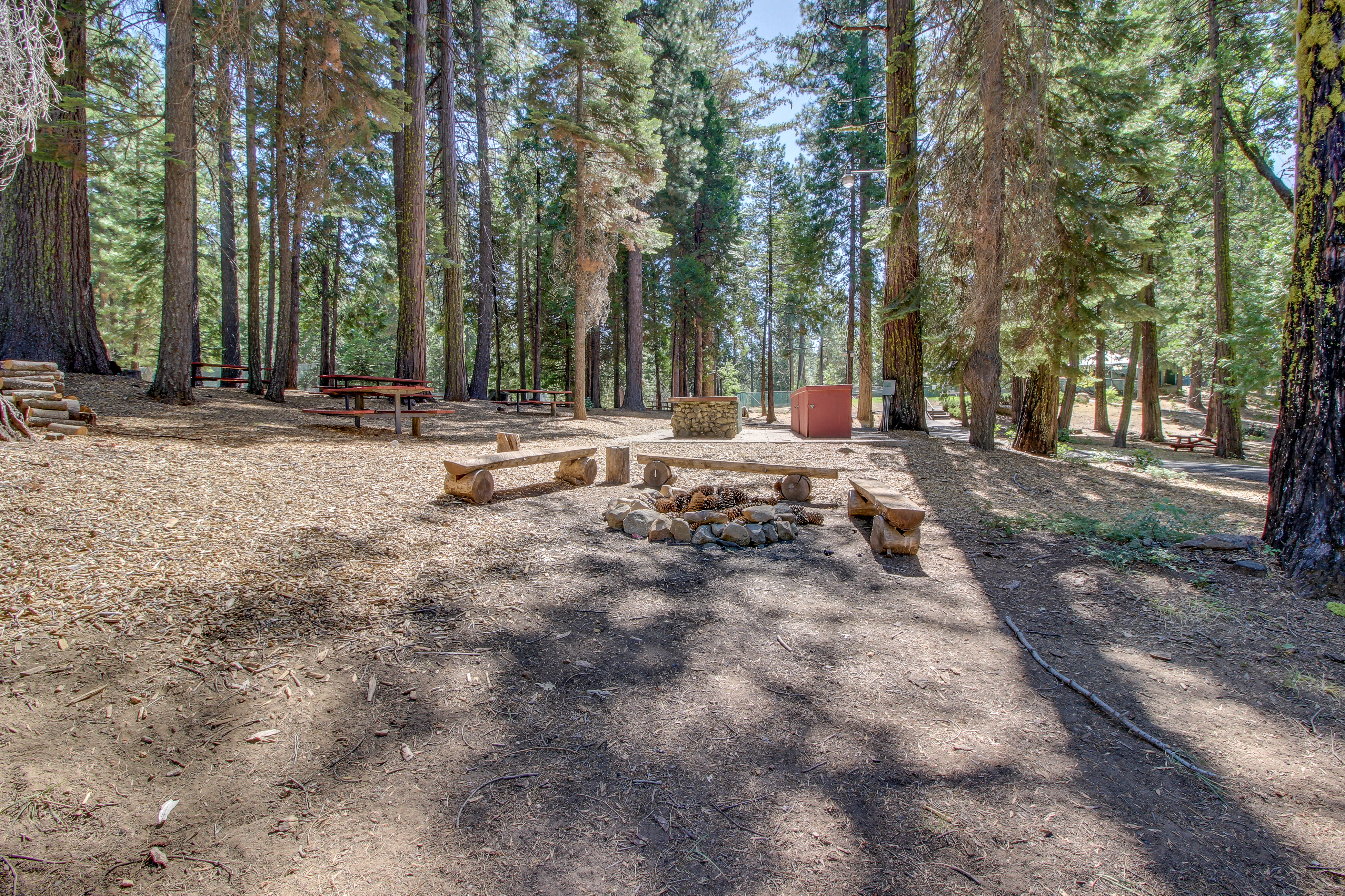 Yosemite Area Home 984902