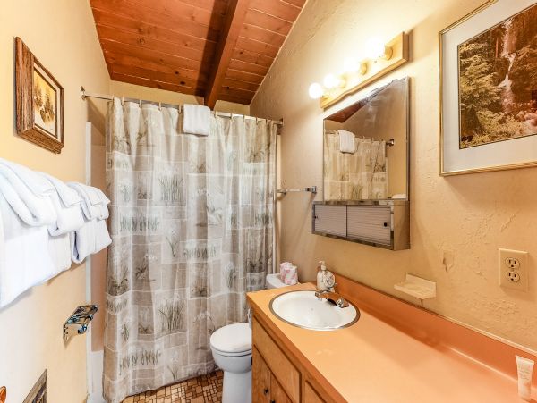 Yosemite Area Home 984905
