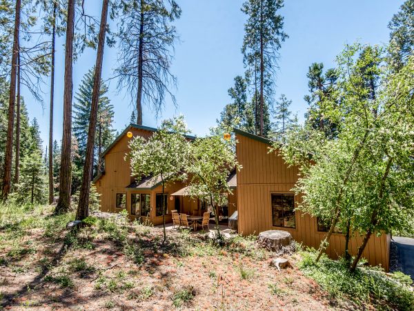 Yosemite Area Home 984906