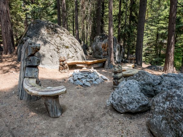 Yosemite Area Home 984907