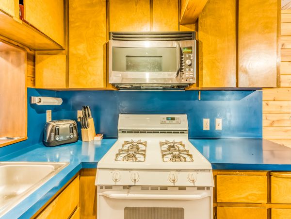 Yosemite Area Home 984909