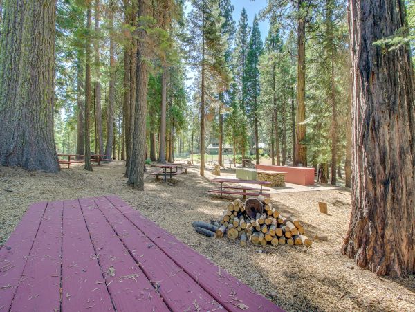 Yosemite Area Home 984912