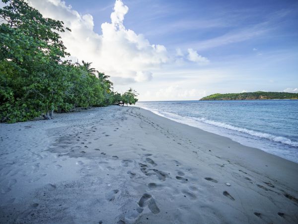 Oceanview Private St Thomas Luxury Villa Short Walk To Beach