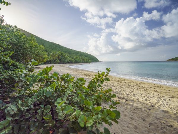 Oceanview Private St Thomas Luxury Villa Short Walk To Beach