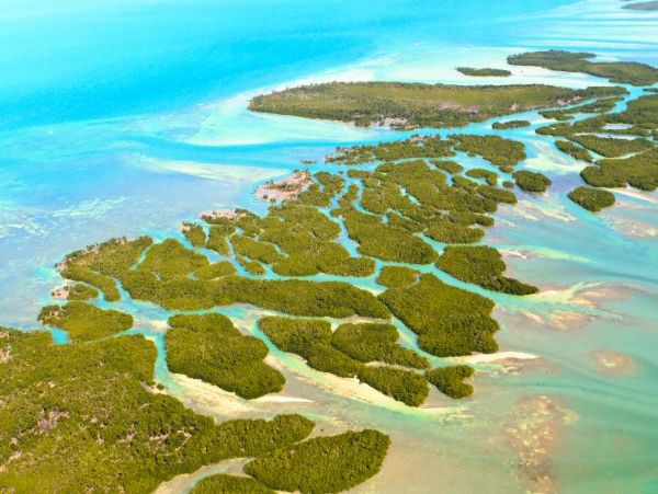 Water View Summerland Key Vacation Home With Private Pool