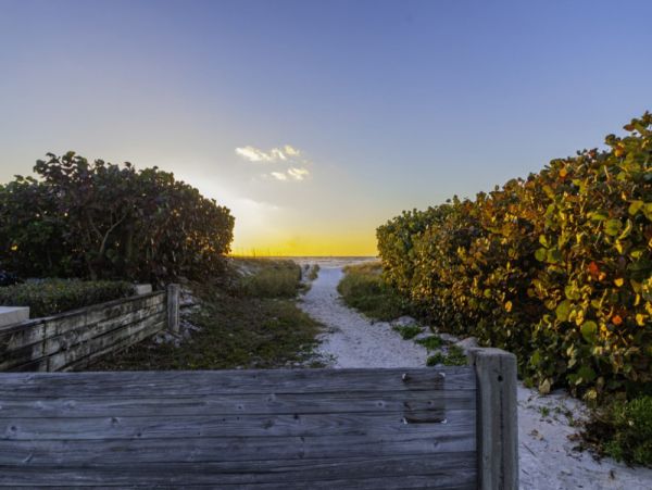 Clearwater Condo 984939