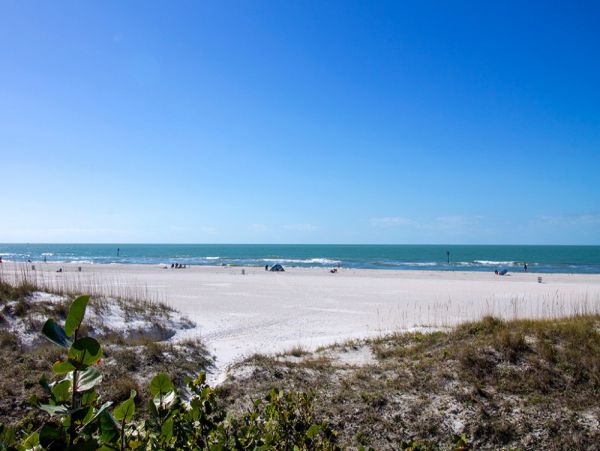 Clearwater Home 984941