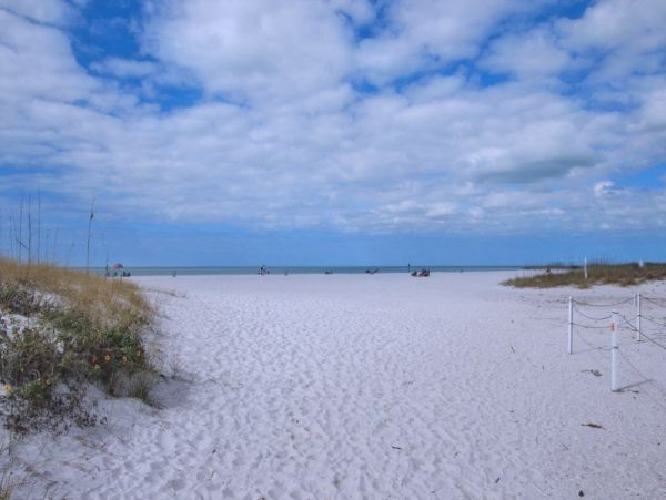 Clearwater Home 984947