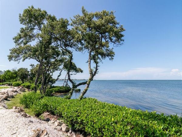 Anna Maria Island Holmes Beach Condo 984988