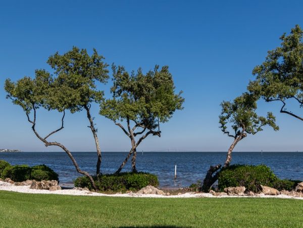 Anna Maria Island Holmes Beach Condo 984991