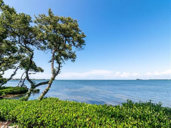 Anna Maria Island Holmes Beach Condo 984991
