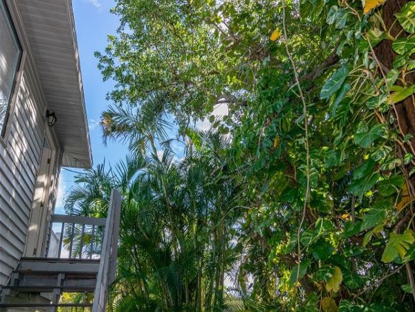 Anna Maria Island Holmes Beach Condo 985002