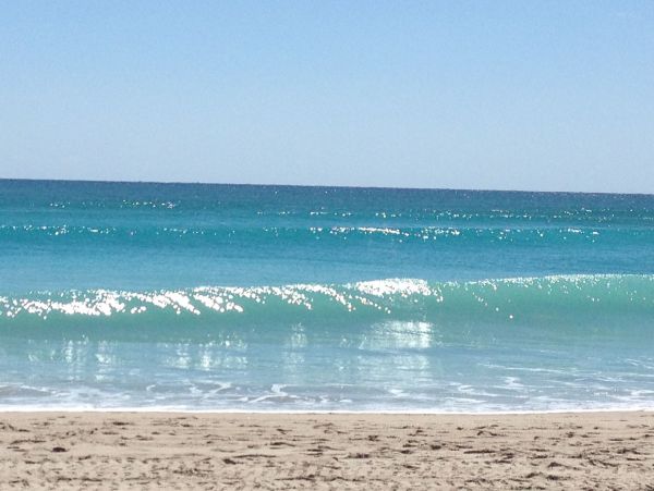 Short Walk to Ocean Palm Beach Vacation Home Private Pool
