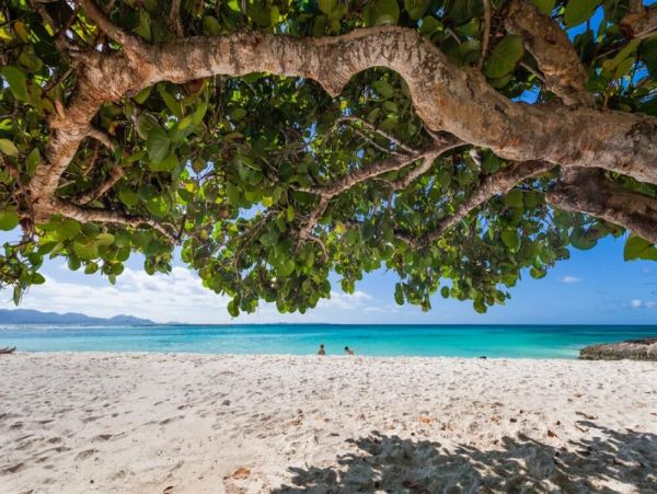Anguilla Home 985040
