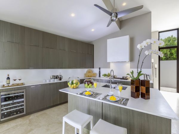 Anguilla Home 985048