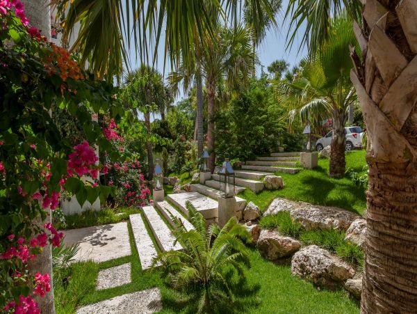 Anguilla Home 985085