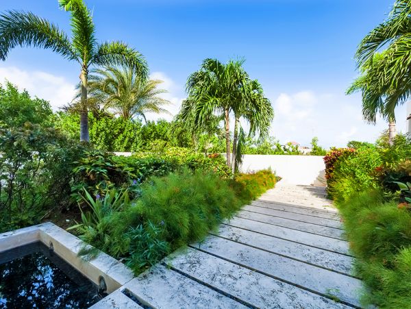Anguilla Home 985086
