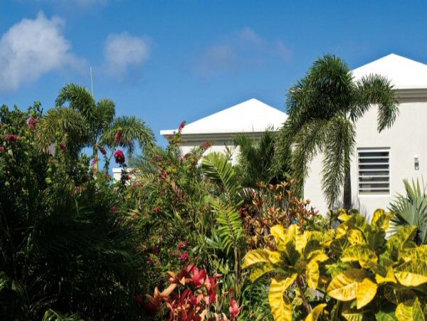 Anguilla Home 985088