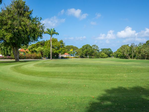 Barbados Home 985142
