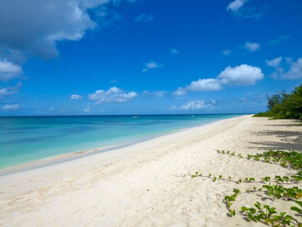 Barbados Home 985166