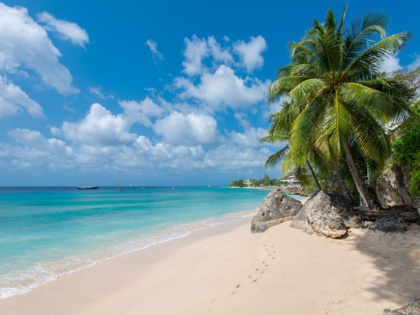 Barbados Home 985176