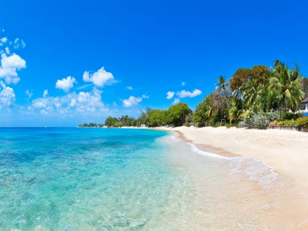 Barbados Home 985187