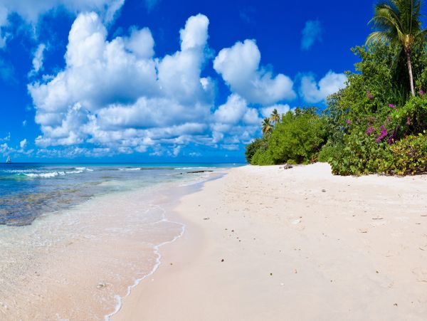 Barbados Home 985205