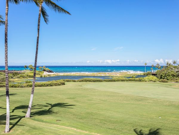 Kailua Kona Home 985221