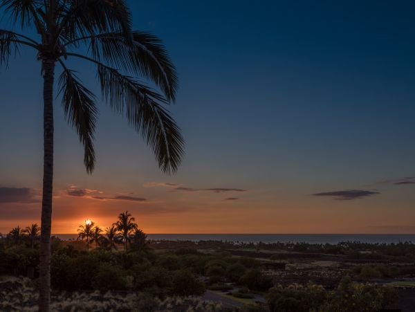 Kailua Kona Home 985222