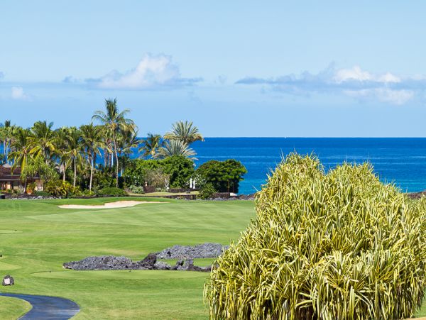 Kailua Kona Home 985224