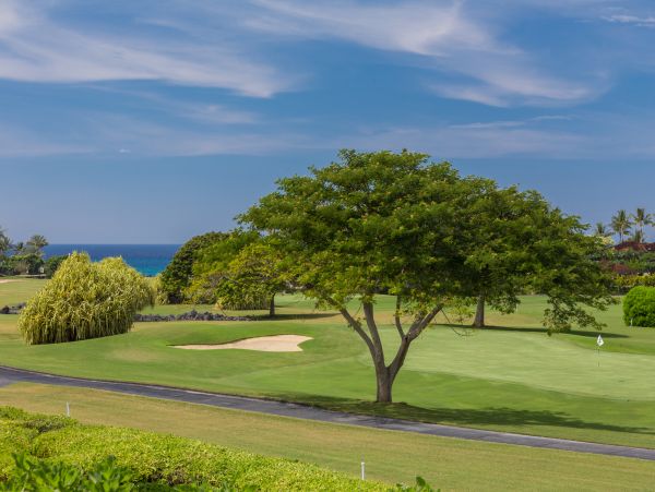 Kailua Kona Home 985228