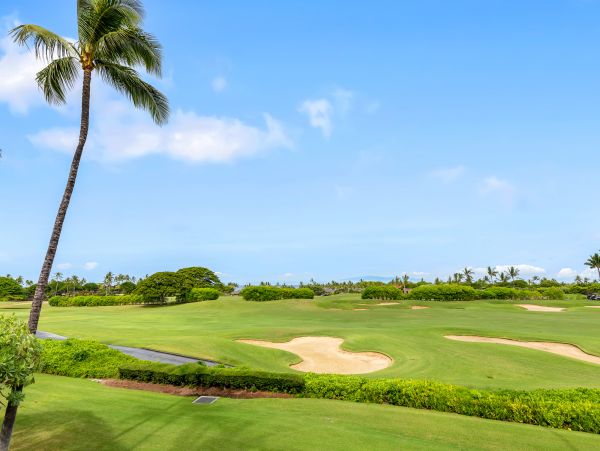 Kailua Kona Home 985229